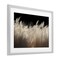 Stupell Industries White Feathers Windblown Grasses Framed Print Under Glass, design by Decent Exposures
